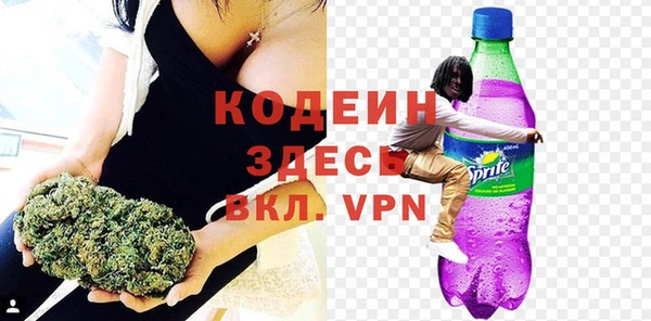 прущие грибы Пересвет
