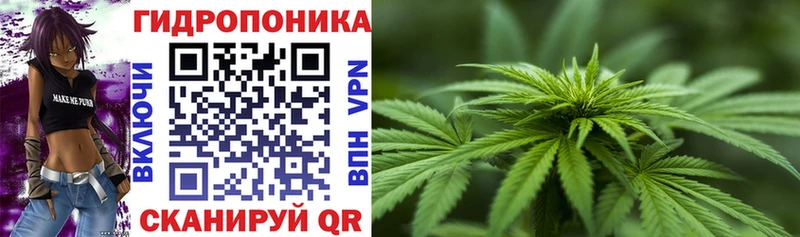 Шишки марихуана конопля Пущино